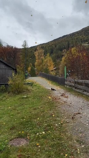 Доброе утро, Алтайский край!