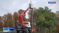 Алтайские энергетики восстанавливают изношенные сети и следят за состоянием ЛЭП в новых регионах России