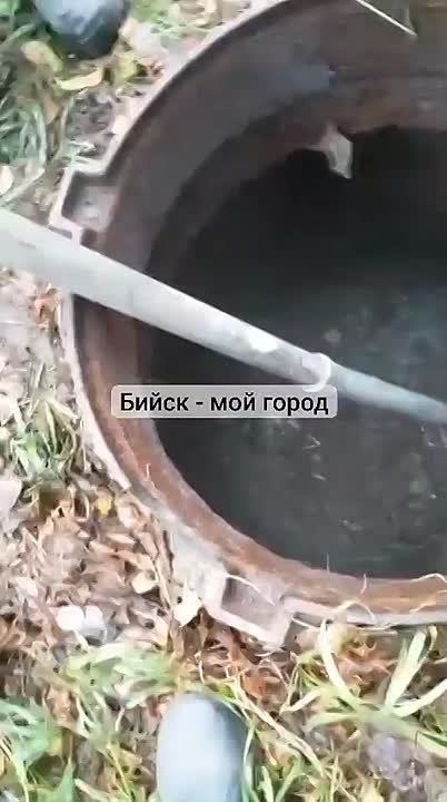 Жители поселка Новый вновь жалуются на проблемы с канализацией