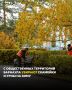 С улиц Барнаула убирают скамейки и урны на зиму