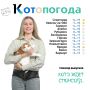 Ведущие «Котопогоды» на этой неделе — Алёна Овсянникова и её кот Персик