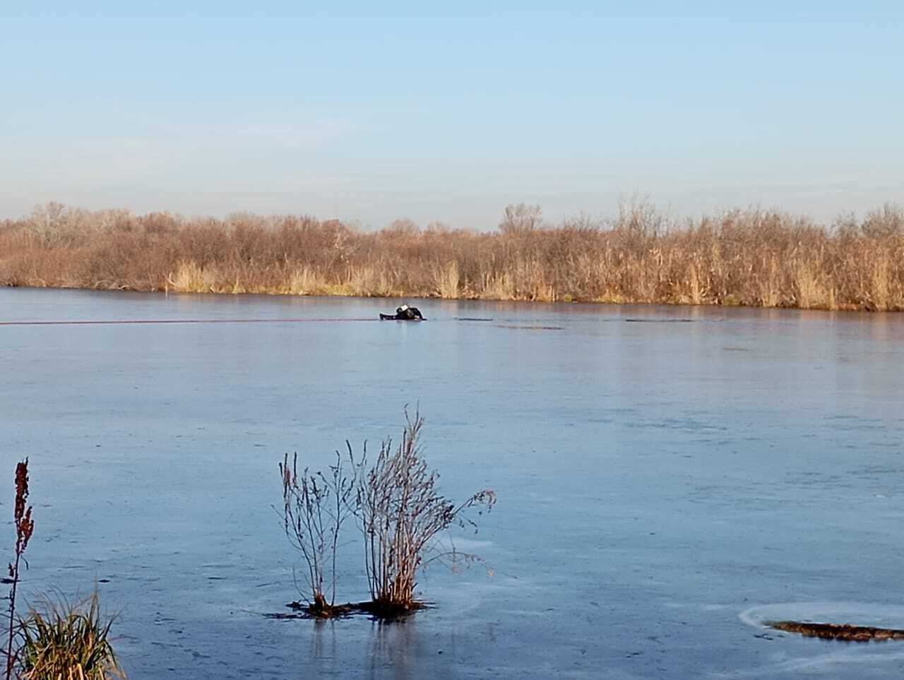Четыре человека погибли на водоемах в Алтайском крае