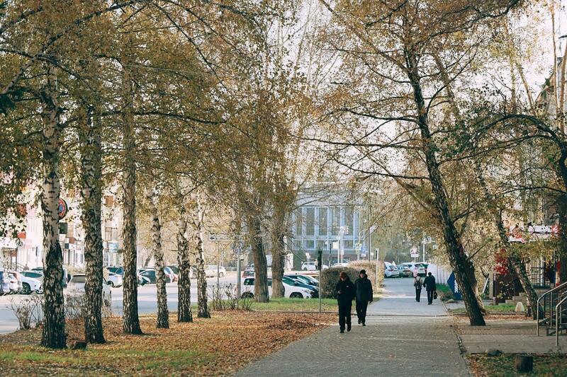 Теплые октябрьские денечки в объективе Екатерины Смолихиной Теплые октябрьские денечки в объективе Екатерины Смолихиной