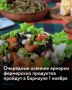 1 ноября в Барнауле пройдут ярмарки выходного дня