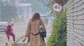 Бийчанку пообещали порезать за просьбу не курить на остановке