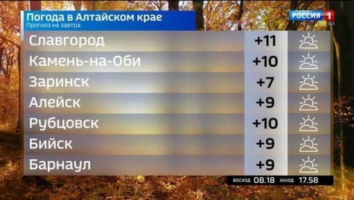 Погода на 29 октября. #погода