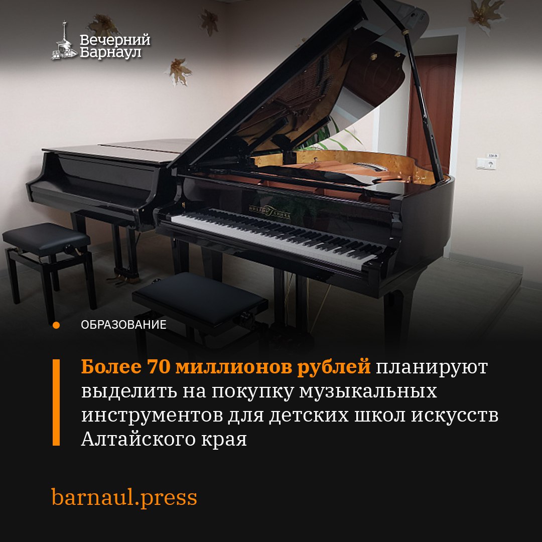 Порядка 70 миллионов рублей направят на покупку музыкальных инструментов для детских школ искусств Алтайского края