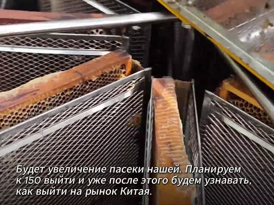 Семья военного из Алтайского края намерена завоевать Китай своим медом