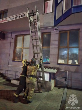 Вернули маму детям. Огнеборцы из 6-й пожарно-спасательной части города Барнаула выручили попавшую в сложную ситуацию женщину