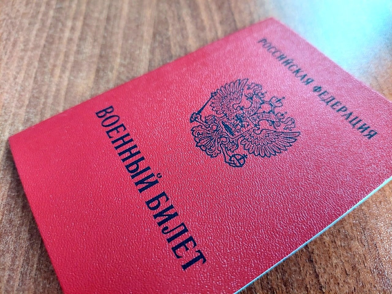 Собак с синей шерстью обнаружили в Чернобыле Собак с синей шерстью обнаружили в Чернобыле