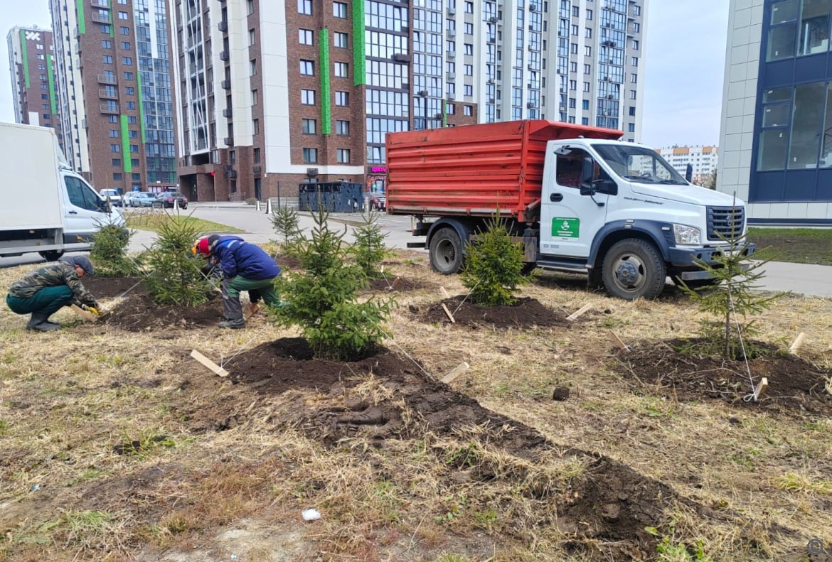 В Барнауле продолжают посадку деревьев и подготовку цветников к зиме