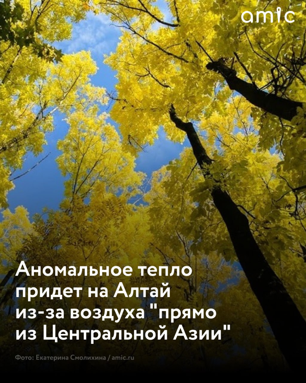 В Алтайском крае в ближайшие дни ожидается температура, которая превысит норму на 6-8 градусов