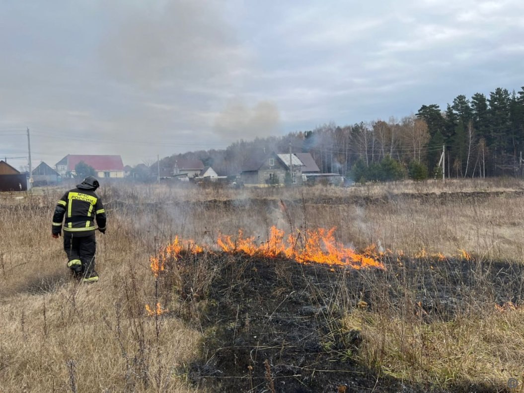Сухую траву сжигают в пригороде Барнаула
