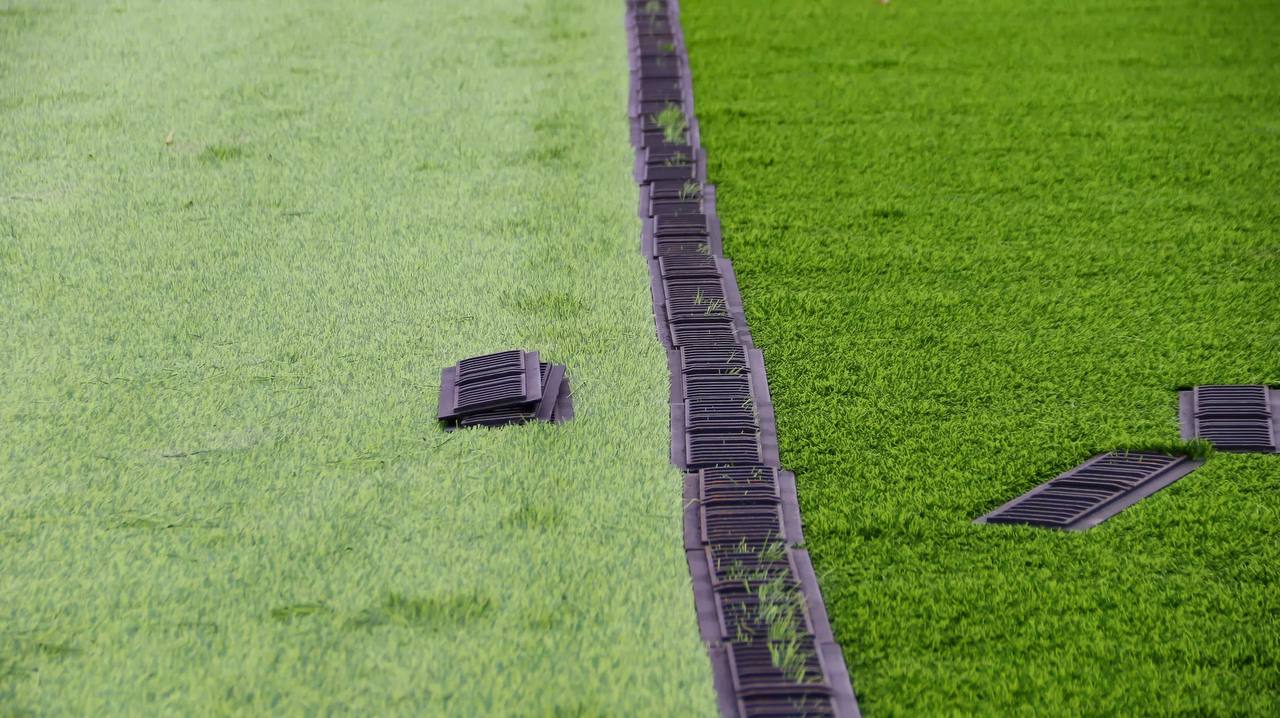 На стадионе "Динамо" завершают укладку нового покрытия На стадионе "Динамо" завершают укладку нового покрытия