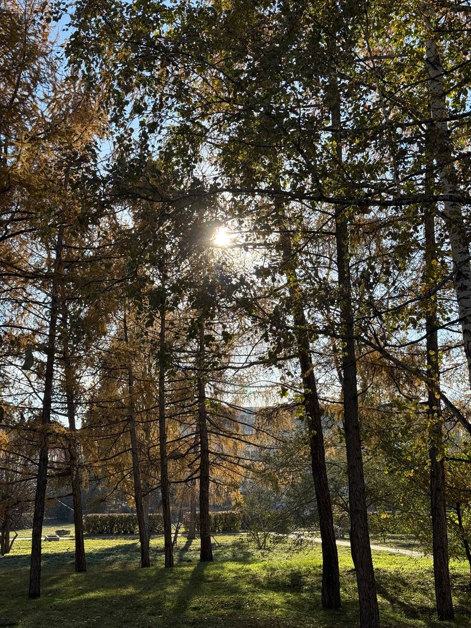 Всем доброе утро!. Октябрь нам подарит еще три теплых дня Всем доброе утро!. Октябрь нам подарит еще три теплых дня