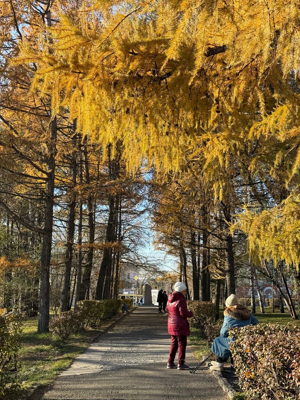 Всем доброе утро!. Октябрь нам подарит еще три теплых дня Всем доброе утро!. Октябрь нам подарит еще три теплых дня