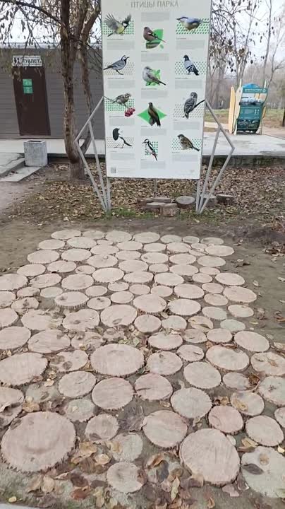 Безотходные экотехнологии продолжают внедрять в парке "Изумрудный"