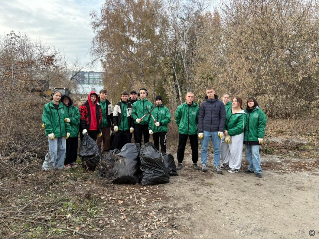Сухую траву сжигают в пригороде Барнаула  Сухую траву сжигают в пригороде Барнаула