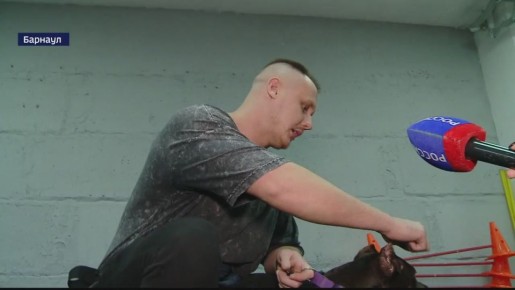 В Барнауле работают специальные курсы «Управляемая городская собака»