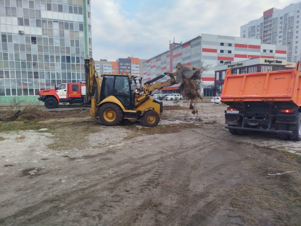 Сухую траву сжигают в пригороде Барнаула  Сухую траву сжигают в пригороде Барнаула