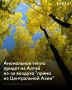 В Алтайском крае в ближайшие дни ожидается температура, которая превысит норму на 6-8 градусов