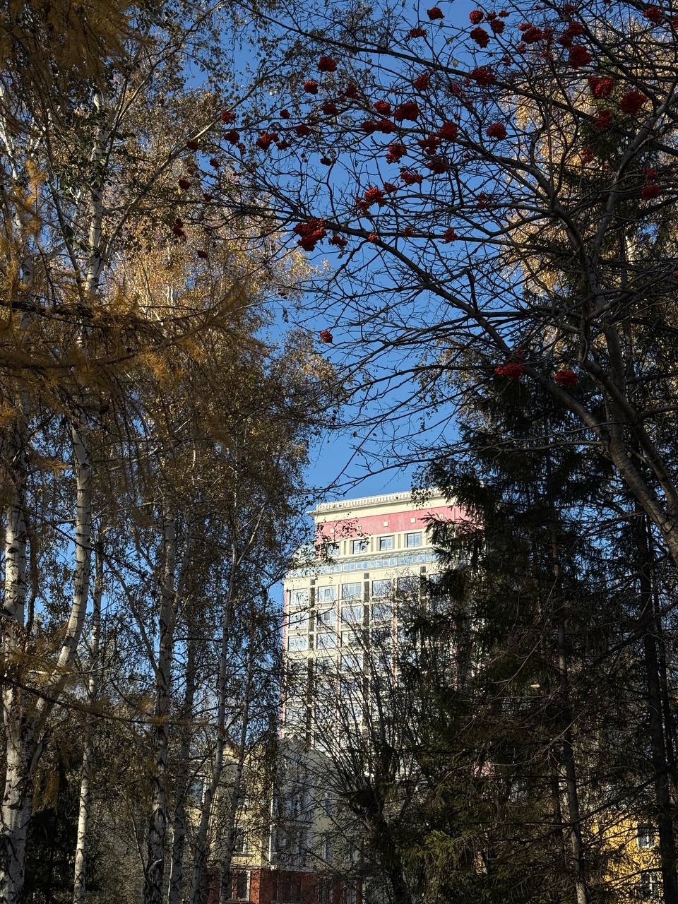 Конец октября продолжает баловать нас теплой погодой!