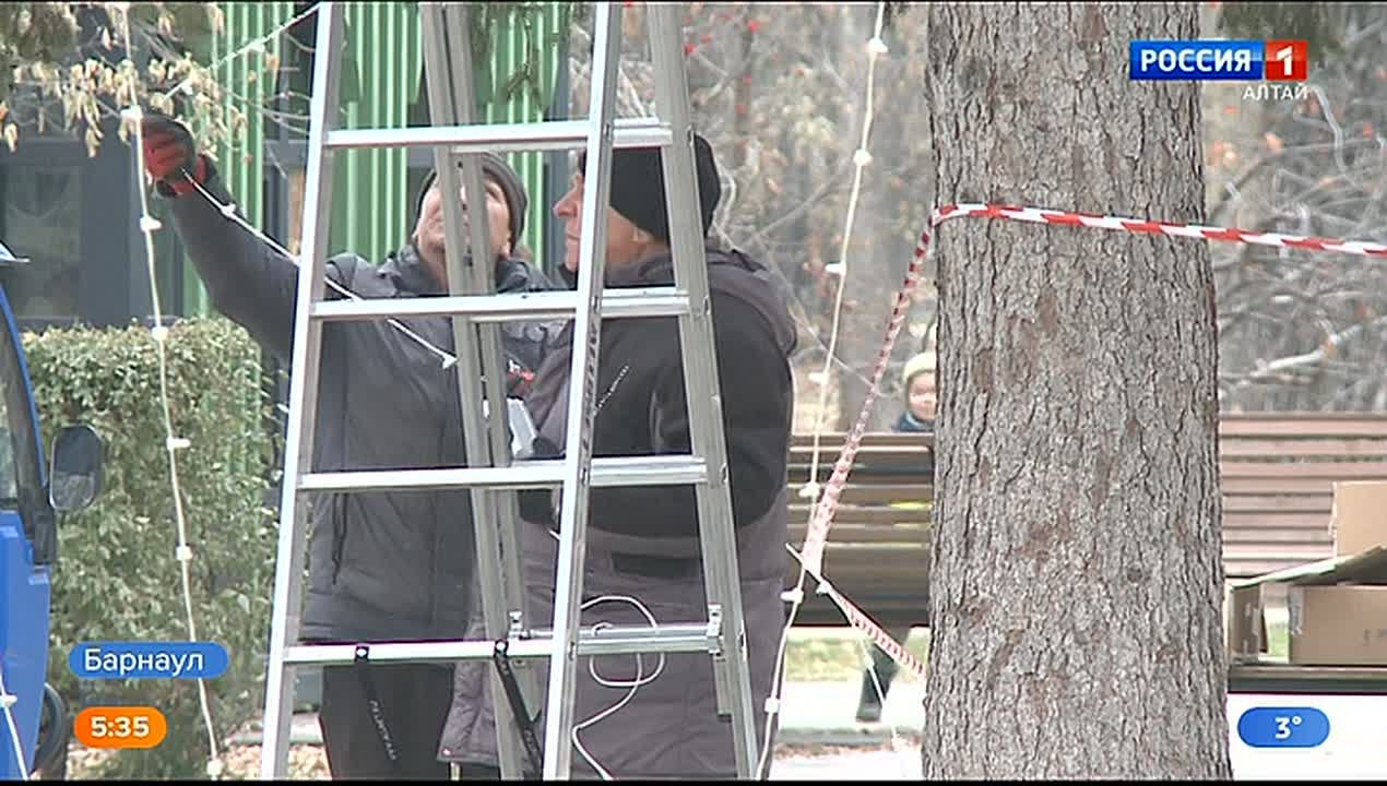 В барнаульском парке «Изумрудный» уже начали украшать новогоднюю ель