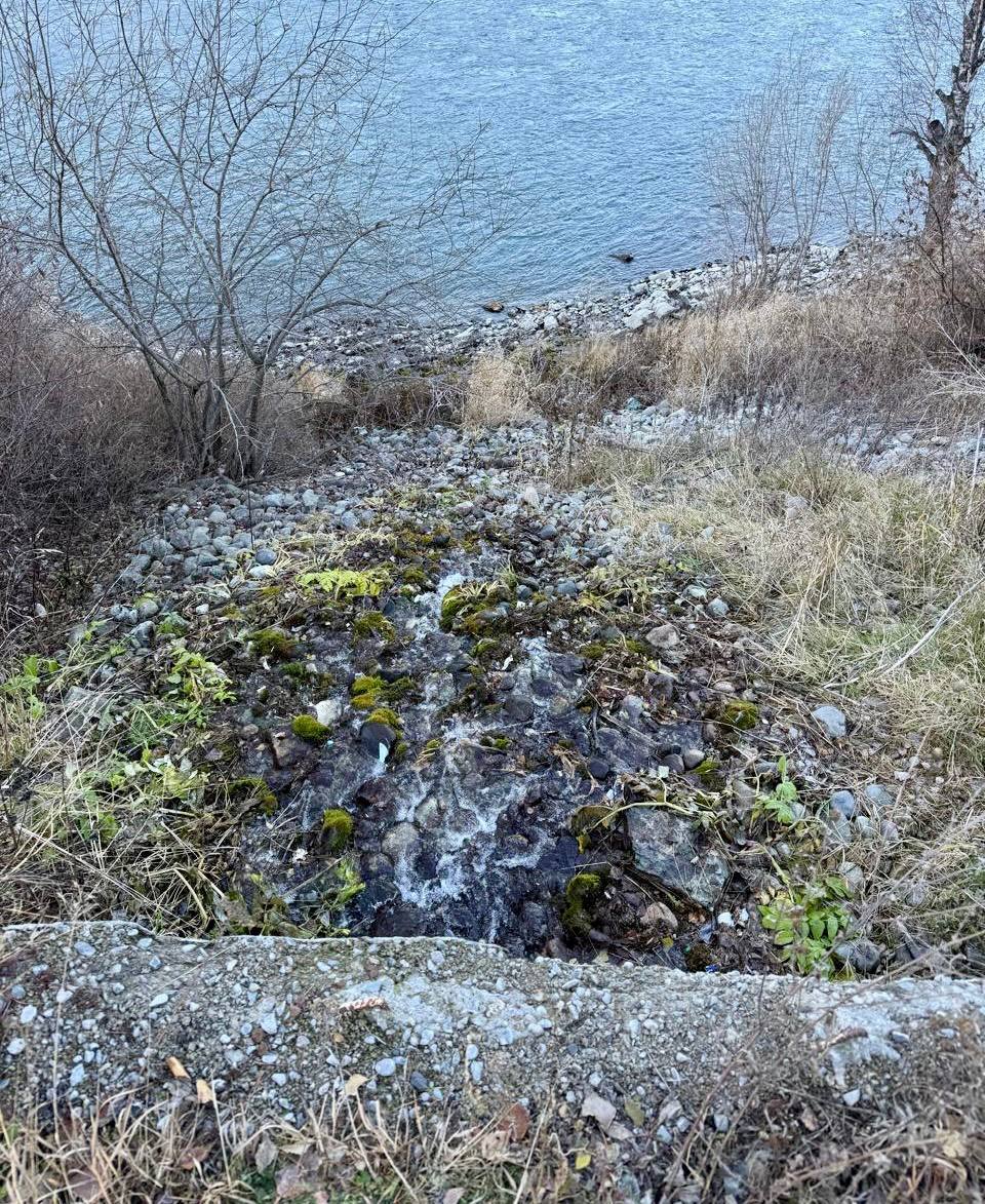 Родник Аржан-Суу в Республике Алтай завалили мусором Родник Аржан-Суу в Республике Алтай завалили мусором