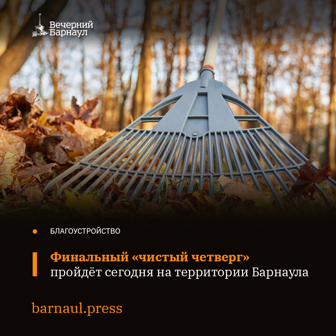 Сегодня, 30 октября, в Барнауле состоится финальный «чистый четверг»