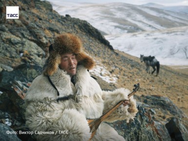 #архив_ТАСС_Сибирь. Козовод играет на домбре