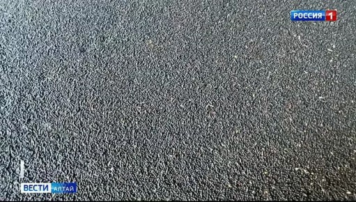 Алтайские аграрии не спешат продавать собранный урожай