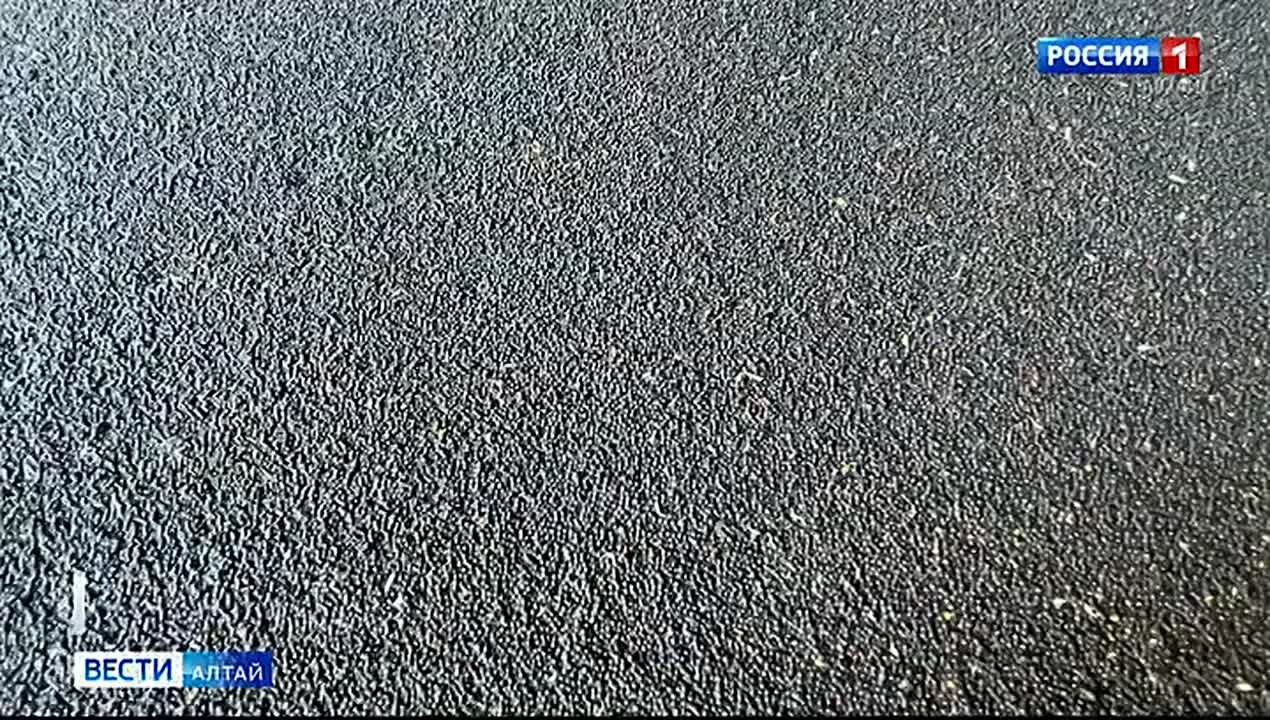 Алтайские аграрии не спешат продавать собранный урожай