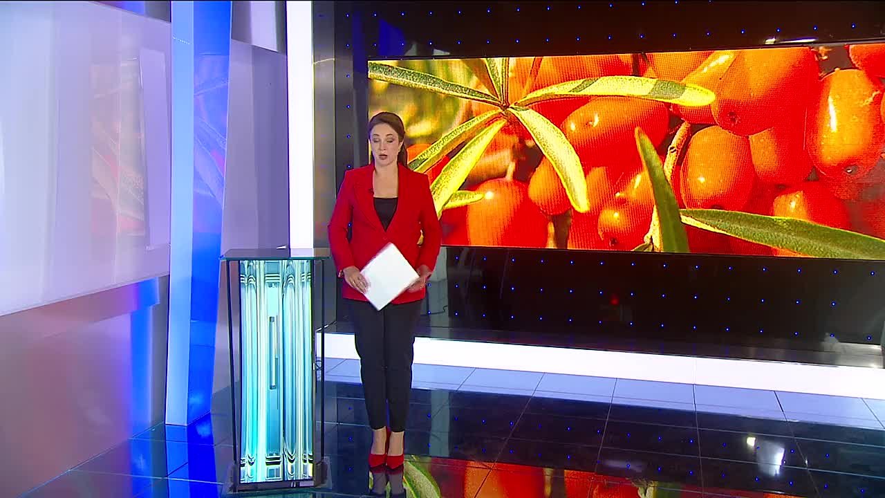 Студент АлтГТУ разрабатывает шампанское из алтайской облепихи