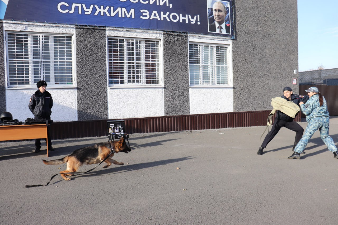 В Межмуниципальном отделе МВД России «Каменский» 28 октября 2025 года для выпускников общеобразовательных учебных заведений г. Камень-на-Оби было организовано мероприятие «День открытых дверей» В Межмуниципальном отделе МВД России «Каменский» 28 октября 2025 года для выпускников общеобразовательных учебных заведений г. Камень-на-Оби было организовано мероприятие «День открытых дверей»