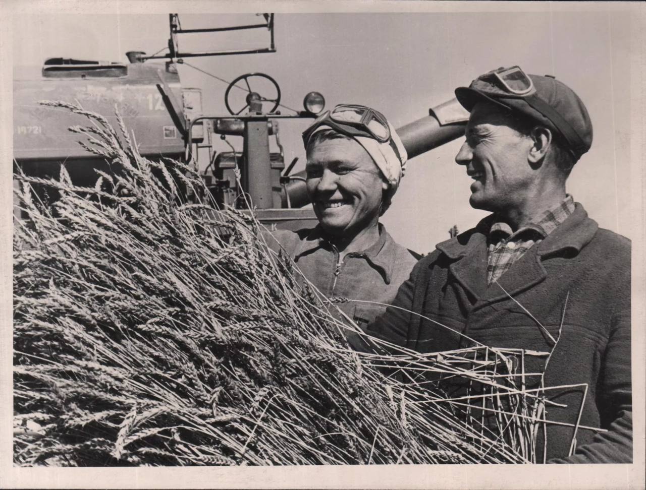 Колхозник – это звучало гордо Колхозник – это звучало гордо