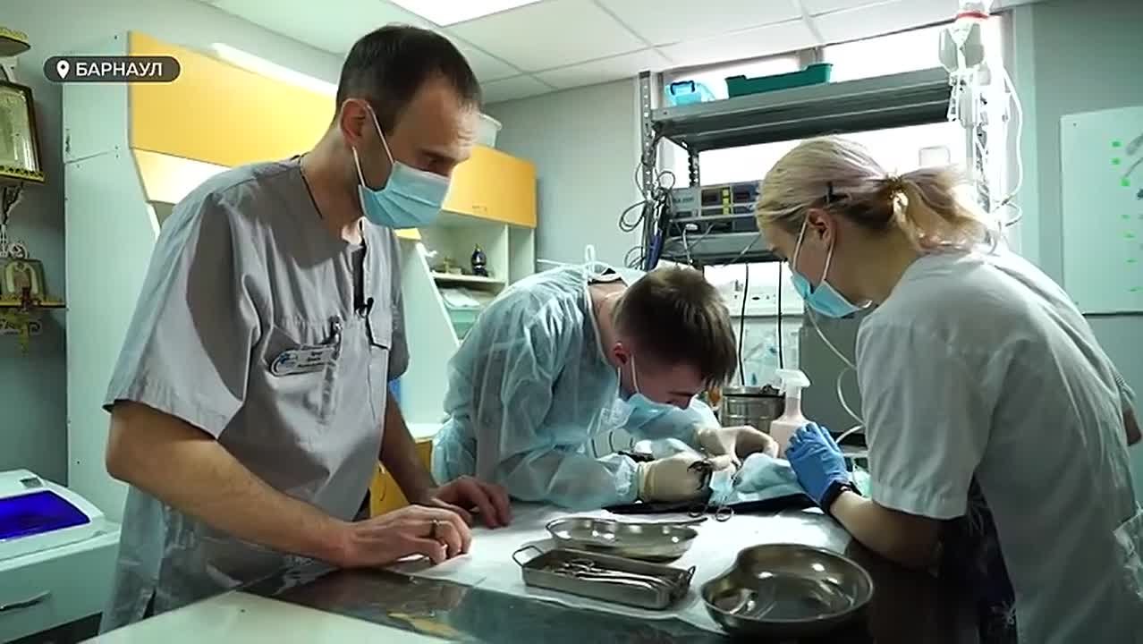 Барнаульцы пытаются спасти совёнка