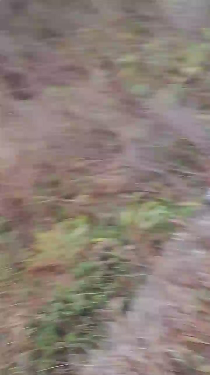 Родник Аржан-Суу в Республике Алтай завалили мусором