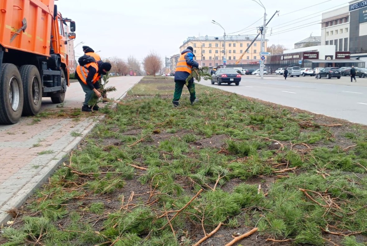 В Барнауле завершают осеннюю посадку деревьев
