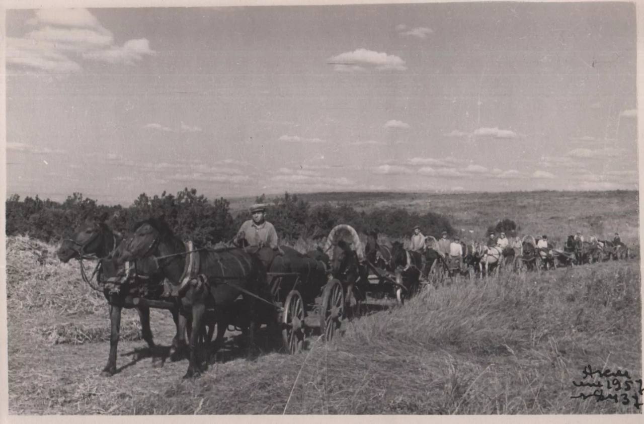 Колхозник – это звучало гордо Колхозник – это звучало гордо