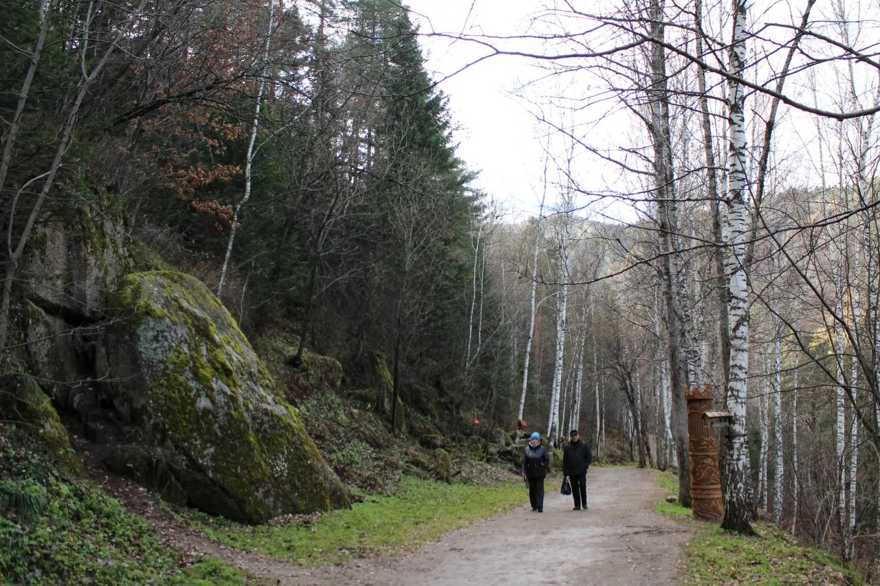 Благоустройство терренкура "Старая мельница" в Белокурихе продолжается Благоустройство терренкура "Старая мельница" в Белокурихе продолжается