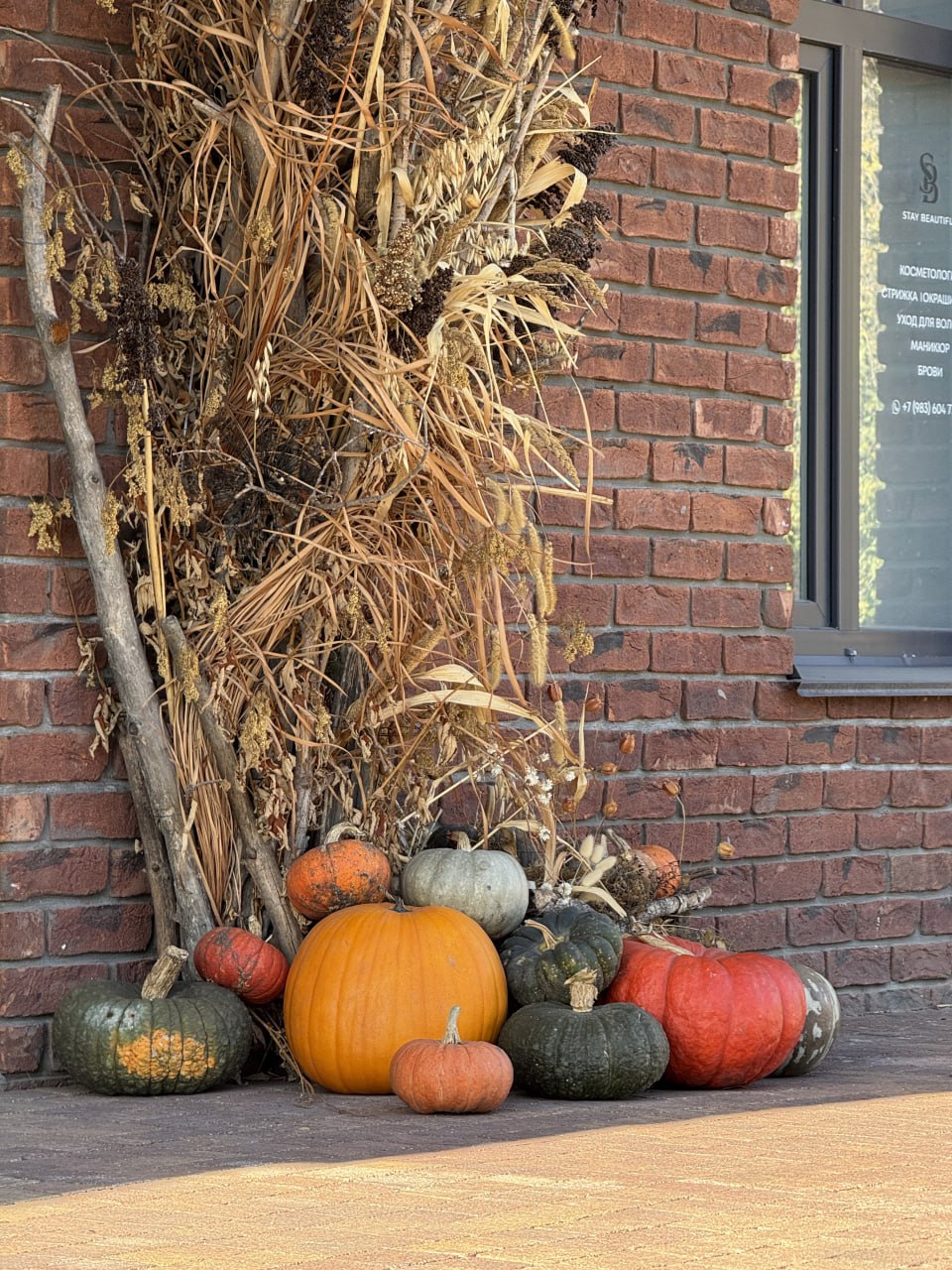 А вы готовы к Тыквенному Спасу? А вы готовы к Тыквенному Спасу?