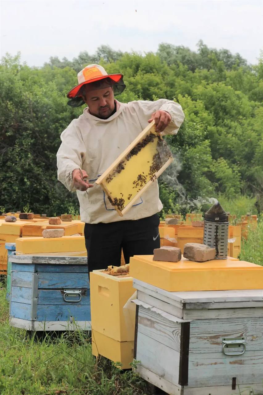 Виктор Томенко: В нашем Алтайском крае, лидирующем среди регионов России по производству товарного мёда, продолжается подготовка к всероссийскому «Апифоруму Алтай 2025» Виктор Томенко: В нашем Алтайском крае, лидирующем среди регионов России по производству товарного мёда, продолжается подготовка к всероссийскому «Апифоруму Алтай 2025»