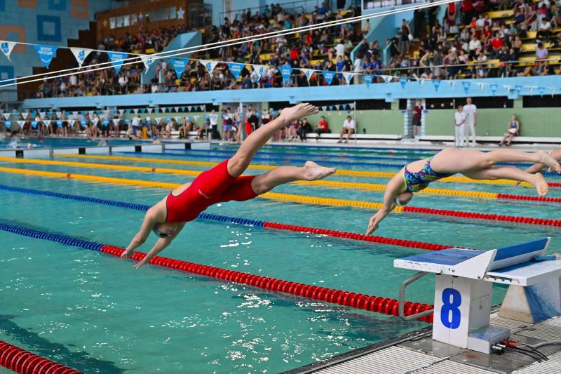 В Барнауле завершился II этап межрегиональных соревнований по плаванию «Кубок Сибири» В Барнауле завершился II этап межрегиональных соревнований по плаванию «Кубок Сибири»
