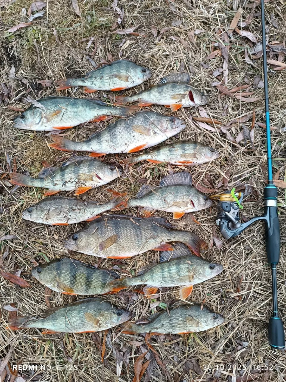 Алтайские рыбаки продолжают хвастаться уловом Алтайские рыбаки продолжают хвастаться уловом