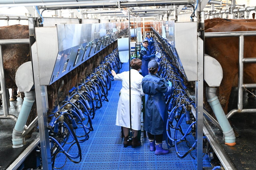 Два легендарных сельхозпредприятия Алтайского края отметили свои юбилеи Два легендарных сельхозпредприятия Алтайского края отметили свои юбилеи