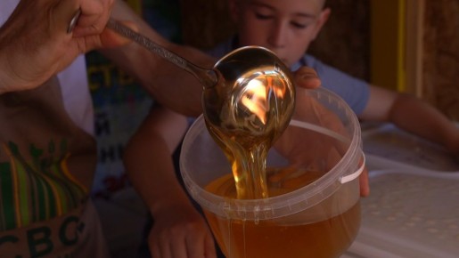 250 образцов поступило на конкурс «Лучший мёд России 2025», который проведут в Барнауле