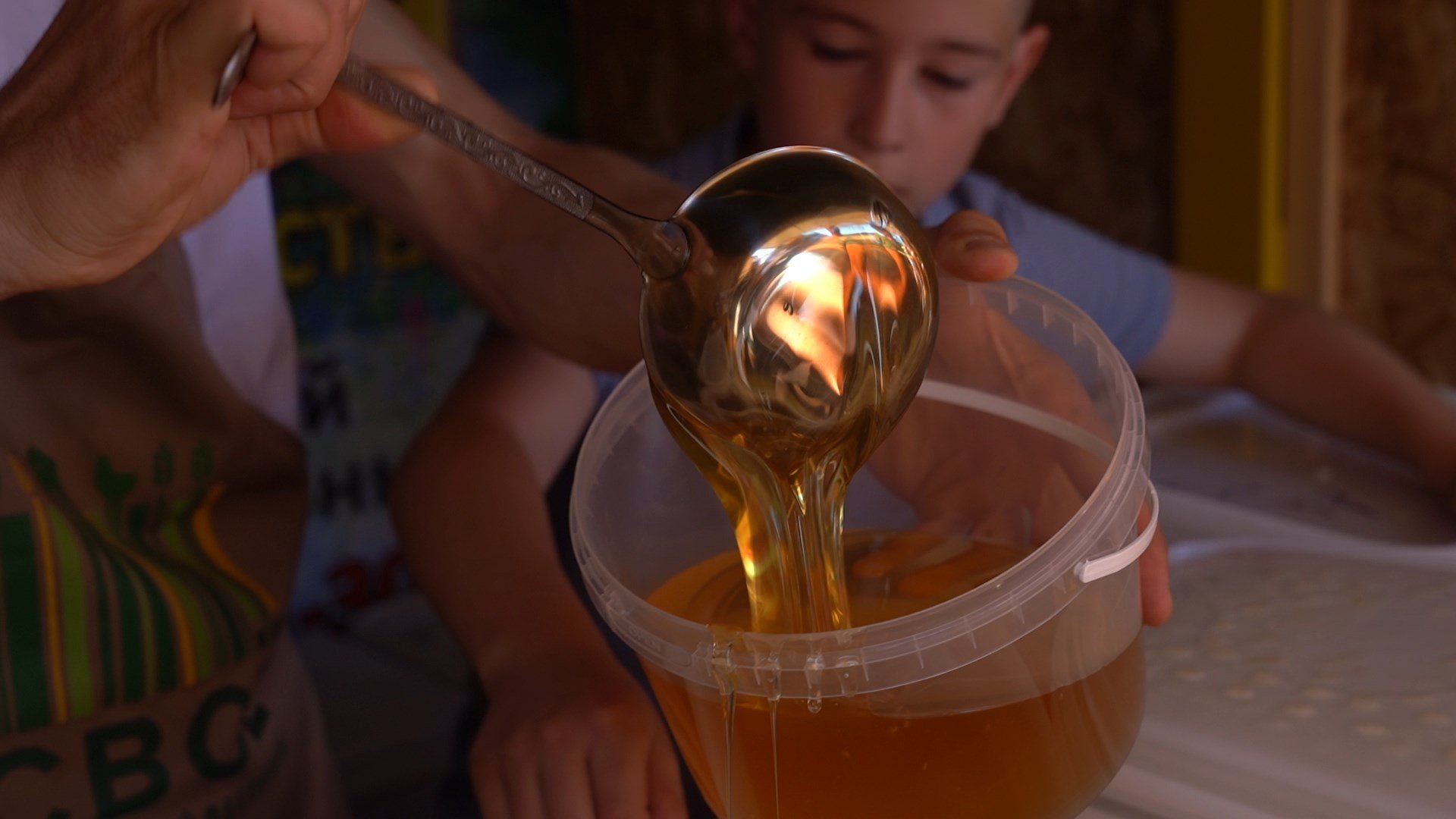 250 образцов поступило на конкурс «Лучший мёд России 2025», который проведут в Барнауле