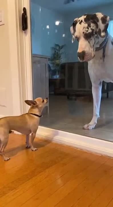 Доброе утро, Алтайский край!