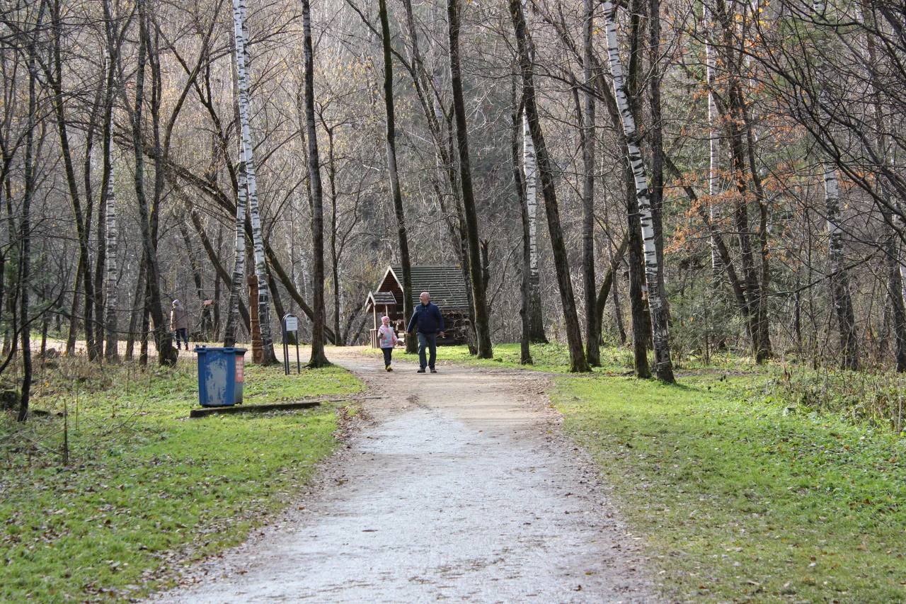 Благоустройство терренкура "Старая мельница" в Белокурихе продолжается Благоустройство терренкура "Старая мельница" в Белокурихе продолжается