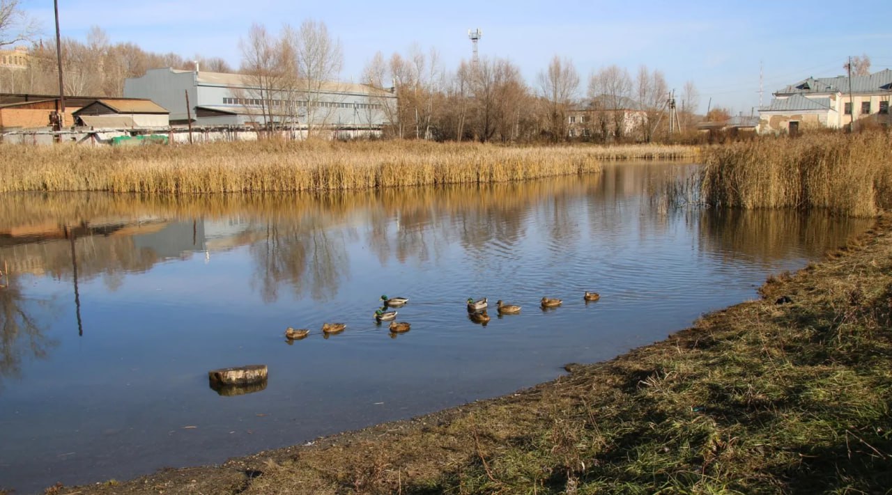 На Ковалёвском озере в Бийске устанавливают современные очистные сооружения